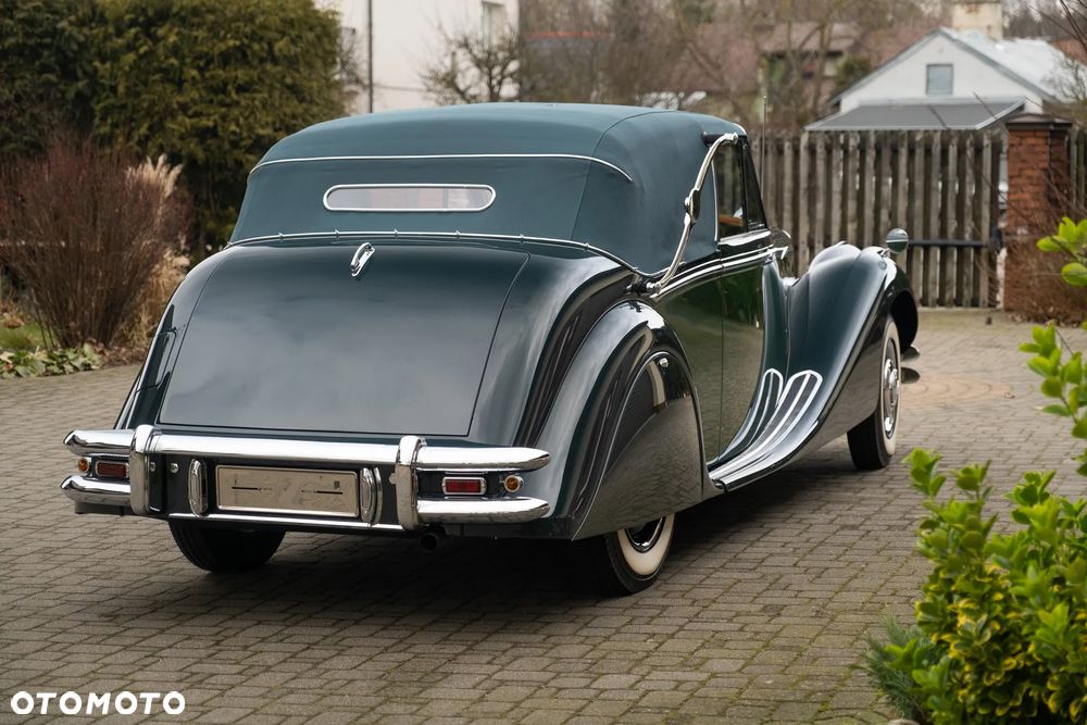 Jaguar Inny - 6