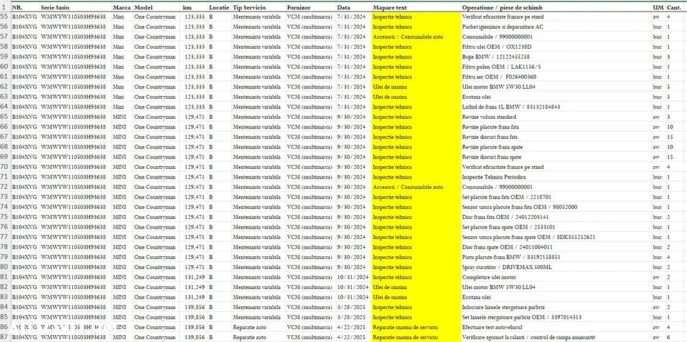 Mini Countryman - 10