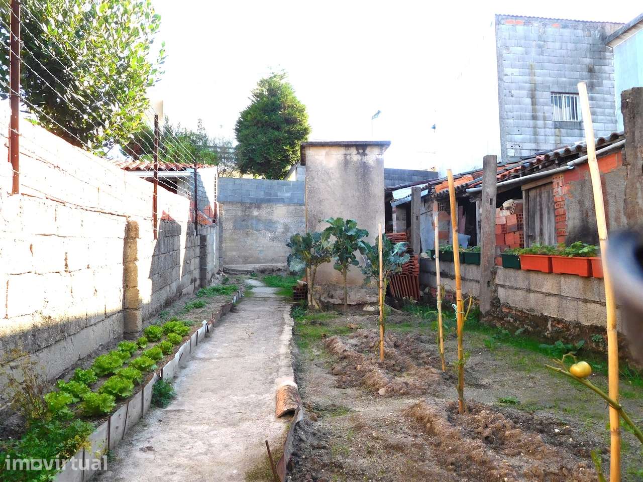 Moradia T3 / Reconstruir / Com Projeto Aprovado / Marrazes / Leiria - Grande imagem: 4/8