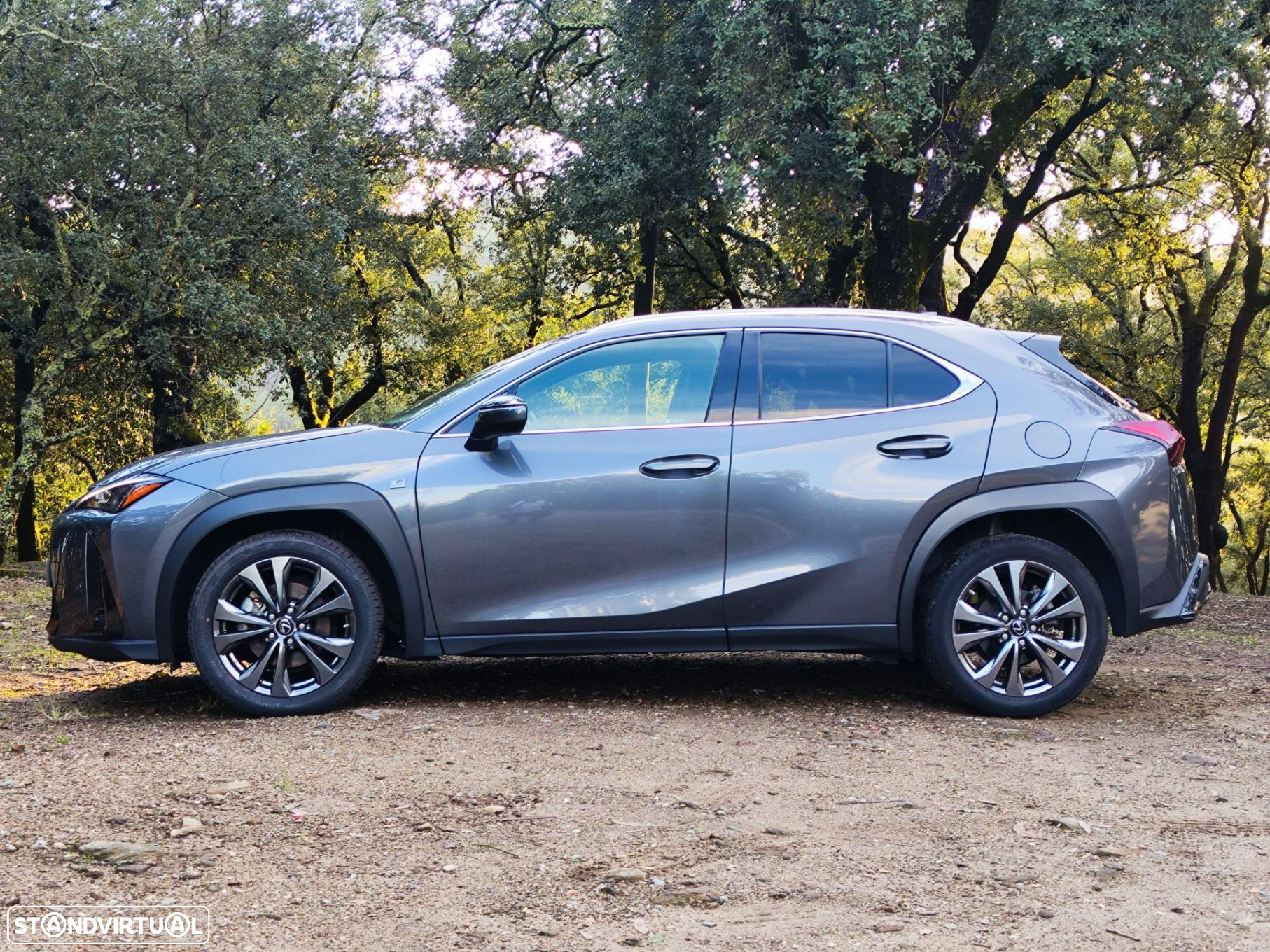 Lexus UX 250h Sport (Ecrã 12.3) - 8