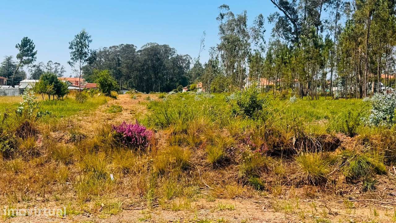 Terreno Para Construção  Venda em São Miguel do Souto e Mosteirô,Santa - Grande imagem: 3/6