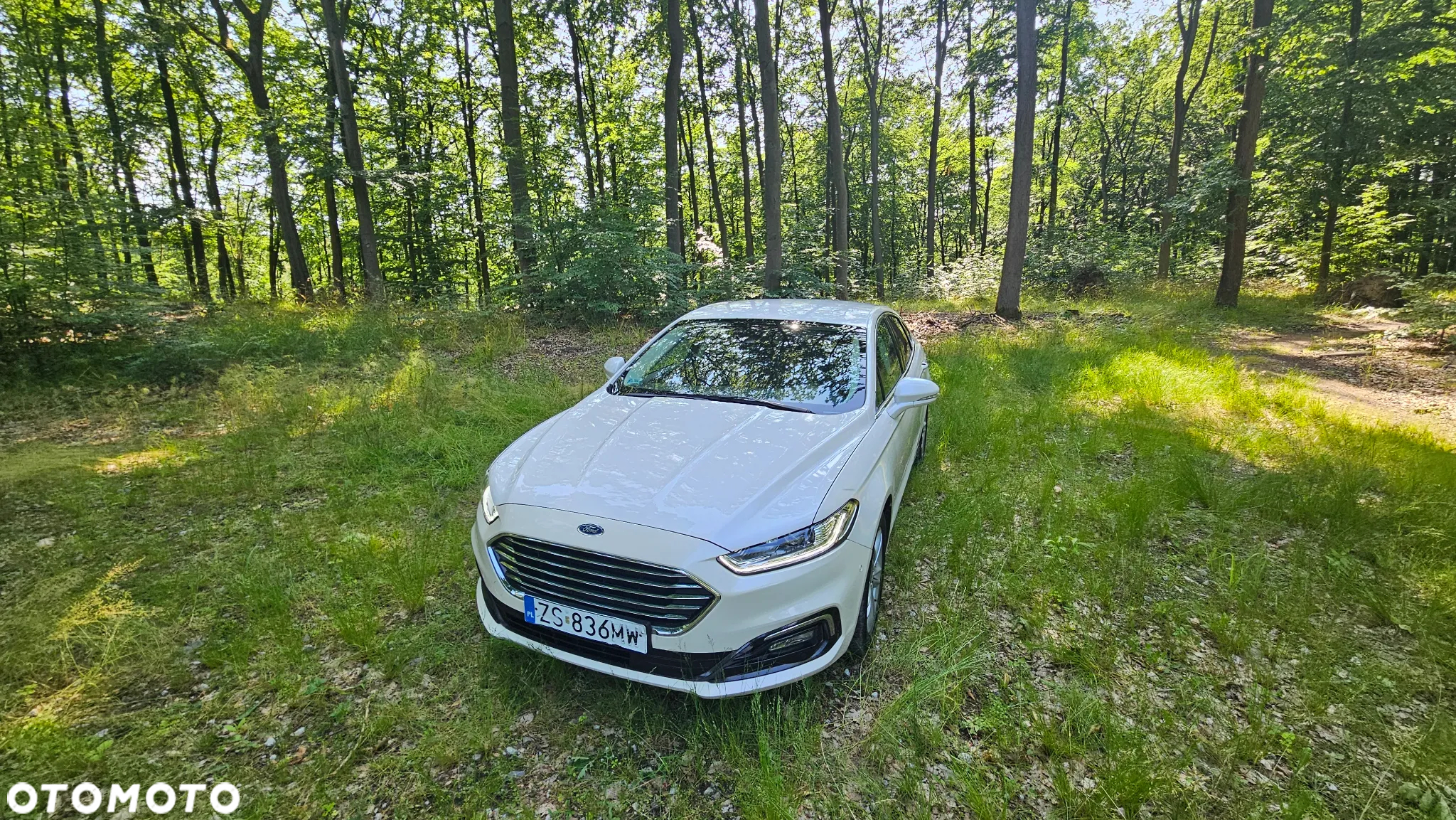 Ford Mondeo 2.0 EcoBlue Titanium - 7