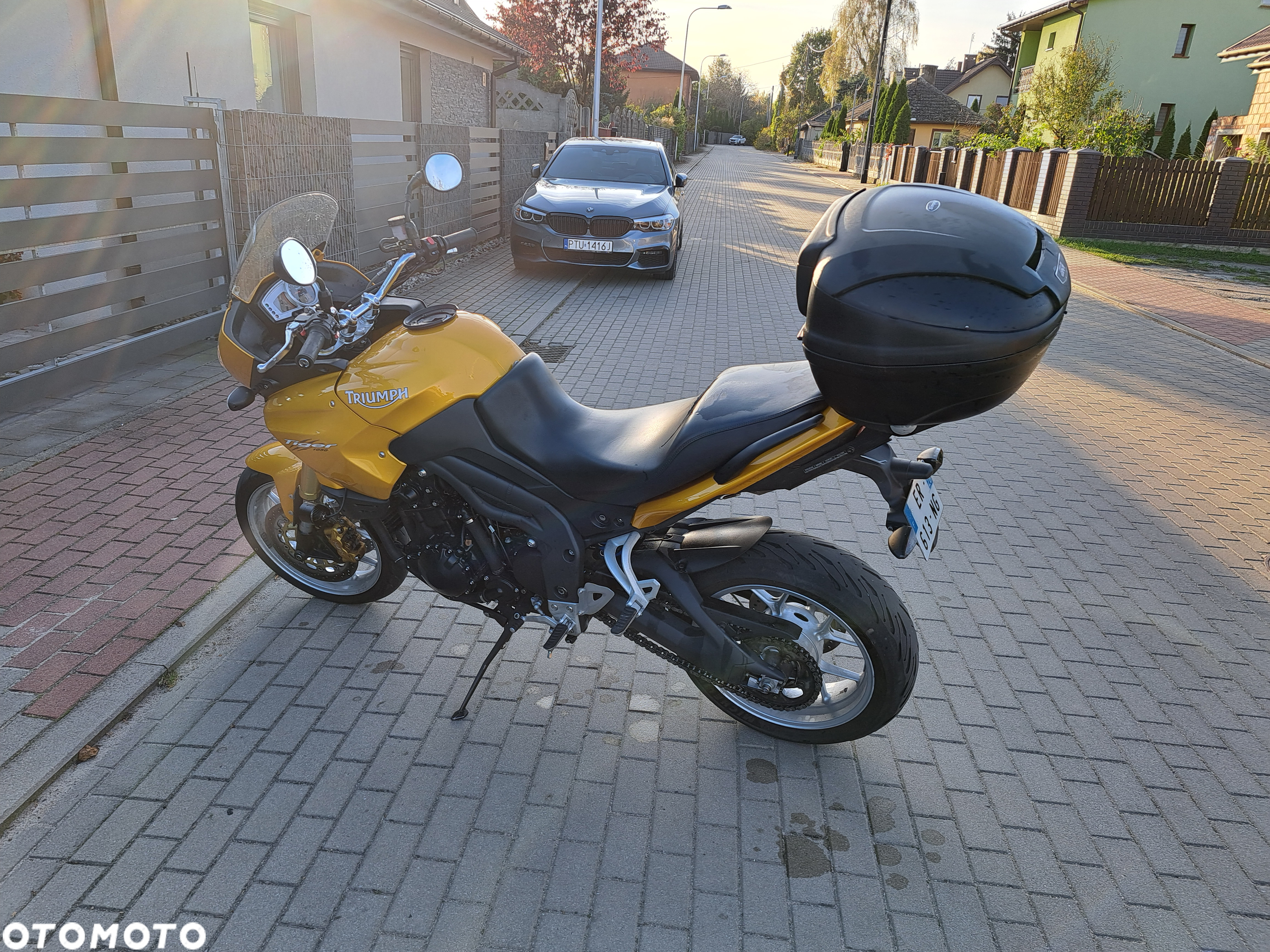 Triumph Tiger - 4