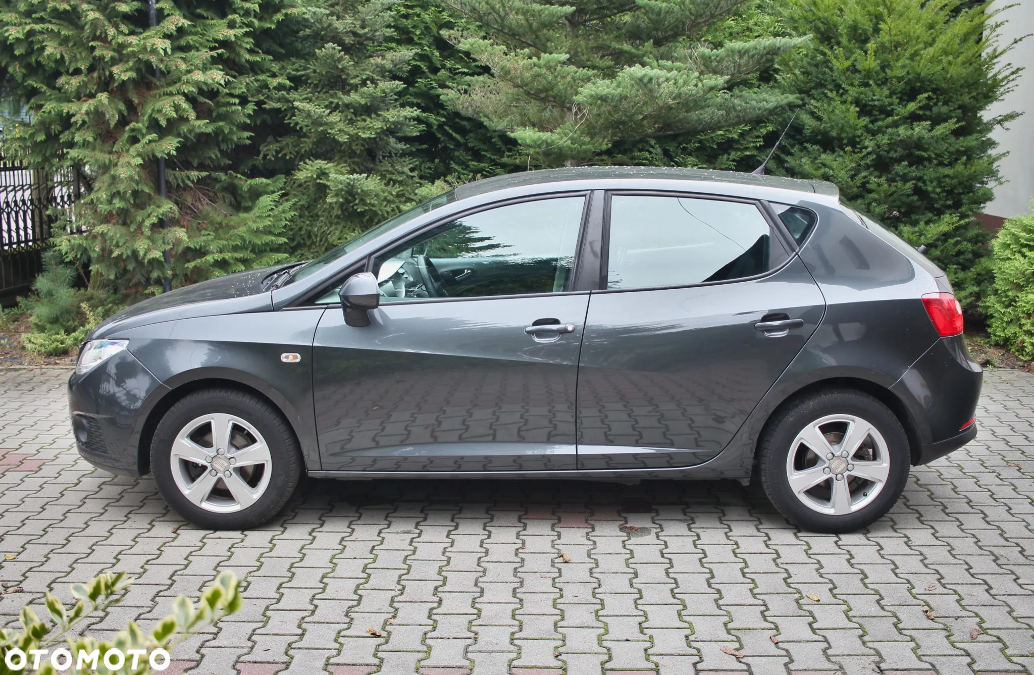Seat Ibiza - 6