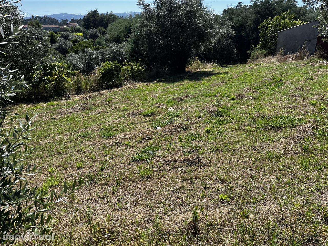 Terreno em Vila Nova de Poiares, Arrifana - Grande imagem: 4/11