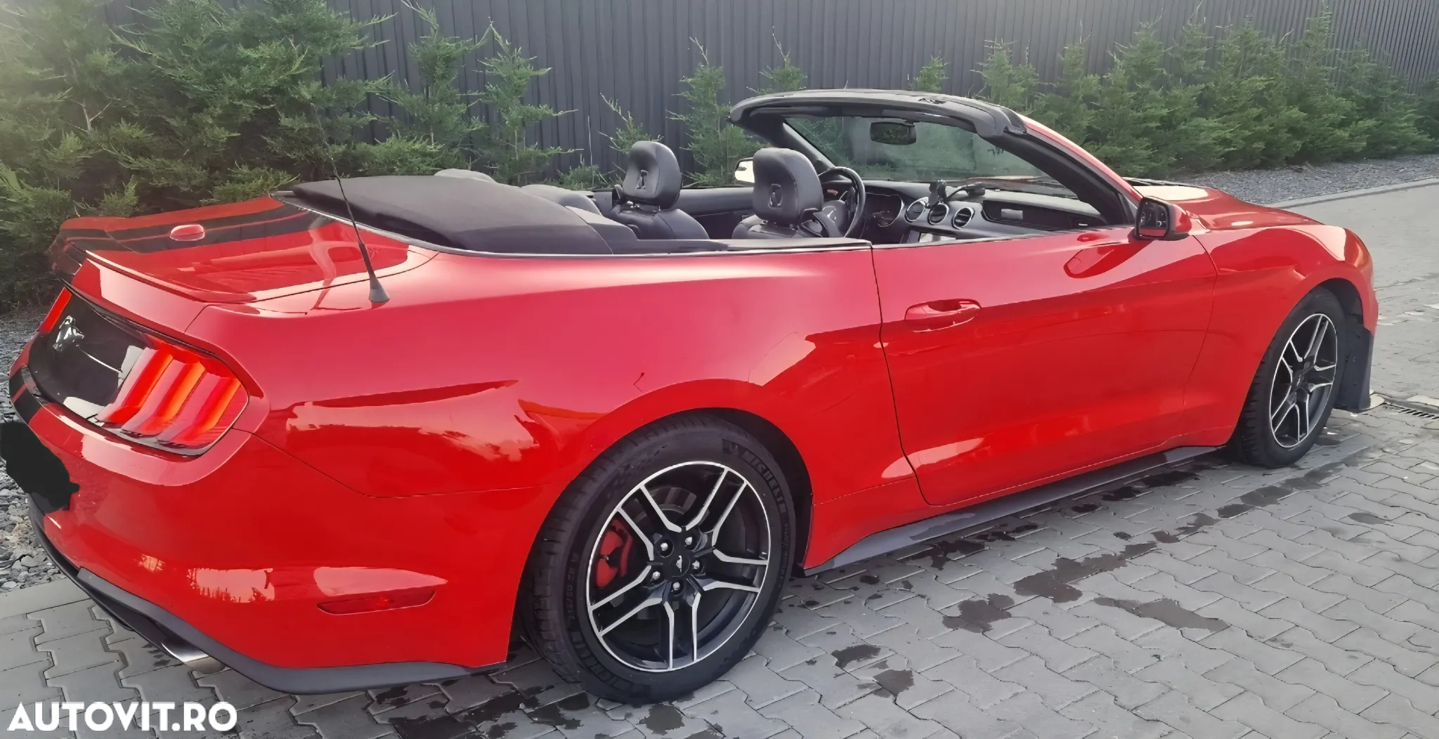 Ford Mustang Cabrio 2.3 Eco Boost - 5
