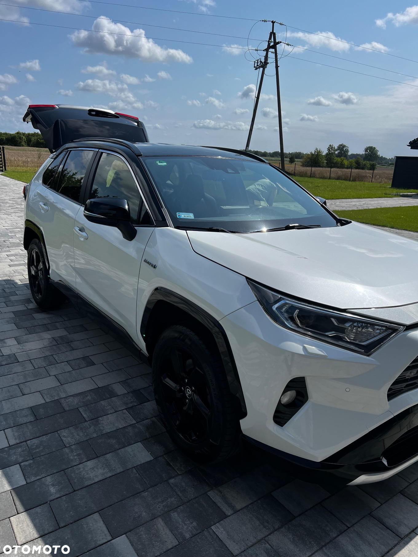 Toyota RAV4 2.5 Hybrid Executive 4x4 - 3