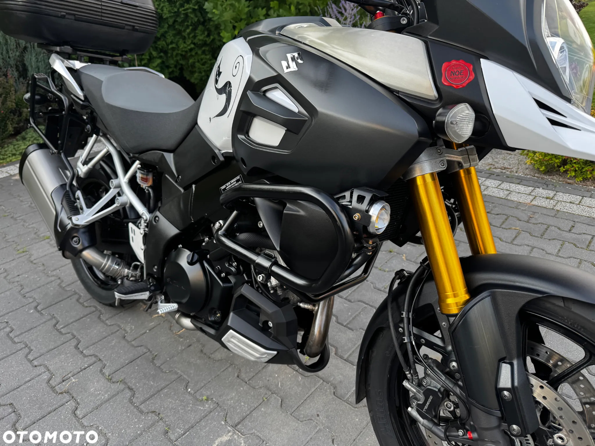 Suzuki V-STROM - 20