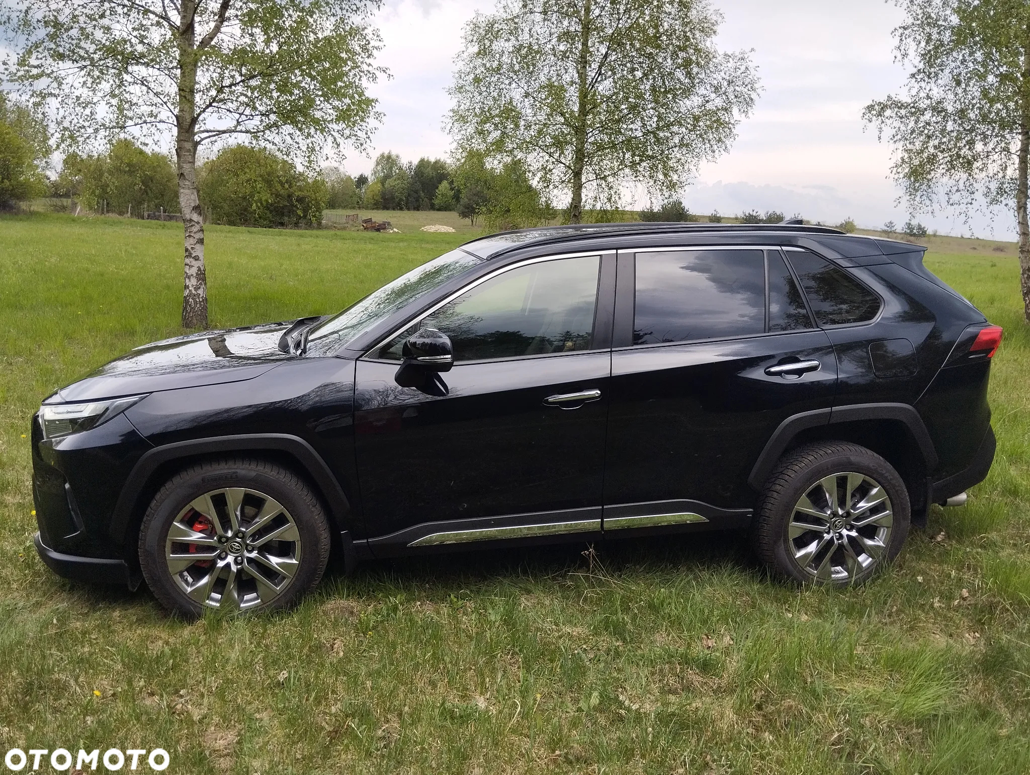 Toyota RAV4 - 12