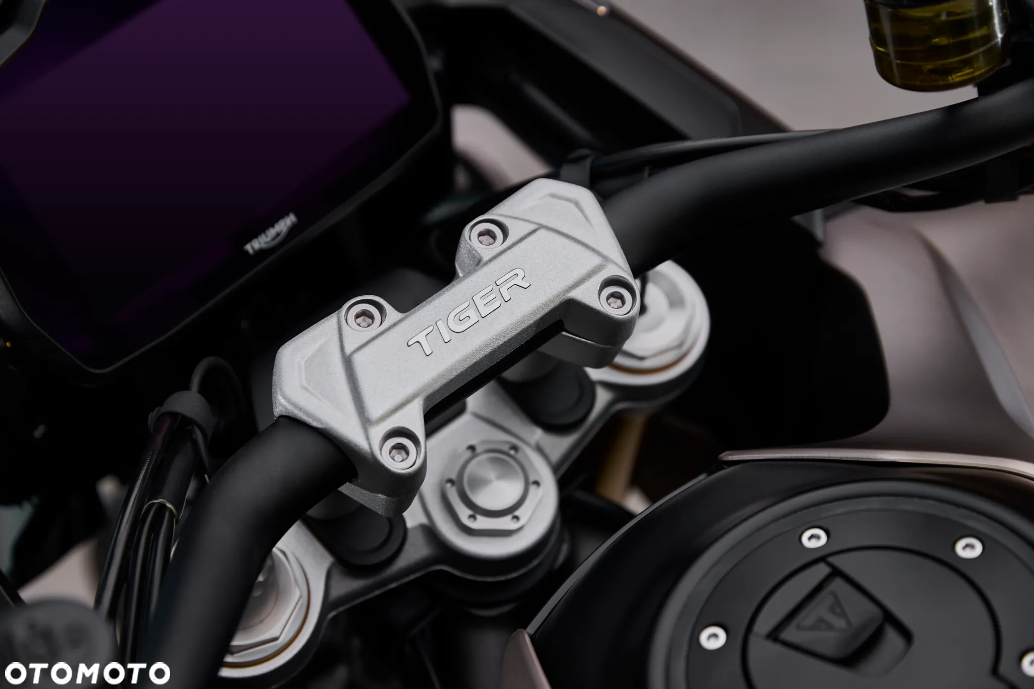 Triumph Tiger - 9