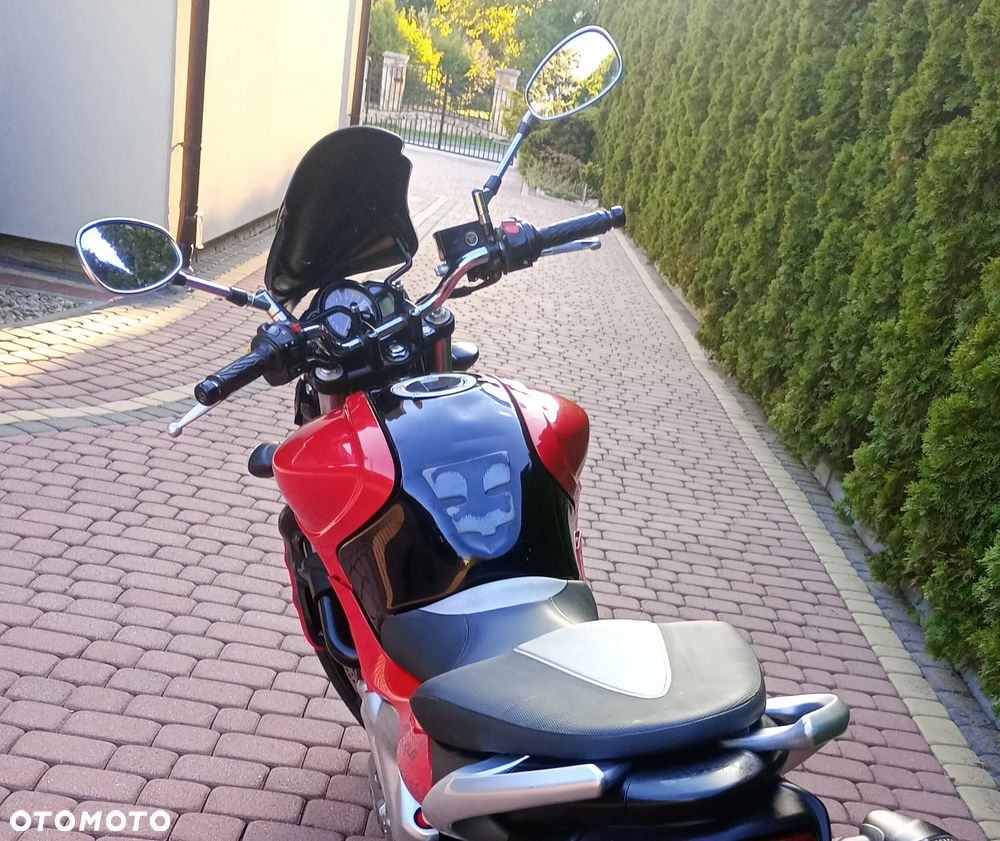 Suzuki Gladius - 14