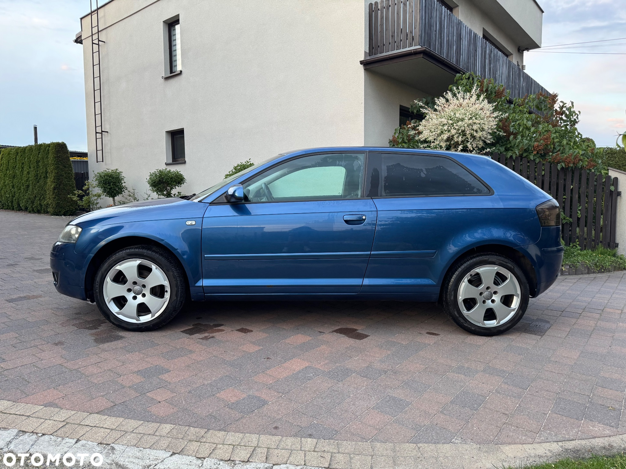 Audi A3 1.6 Ambiente - 5