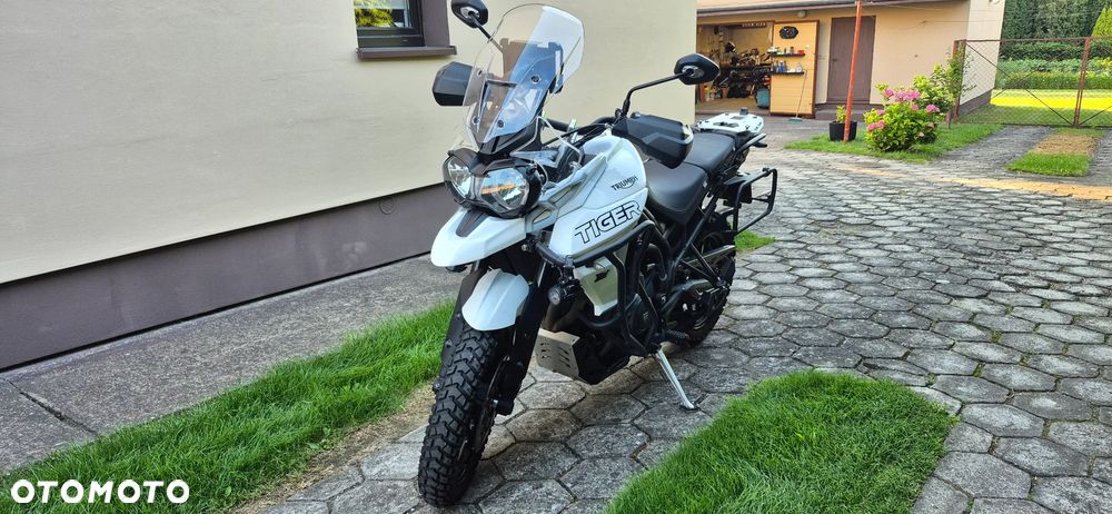 Triumph Tiger - 1