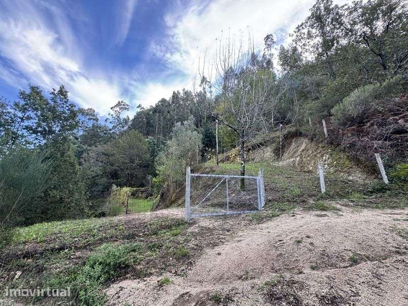 Terreno com Ruina em Louredo, Vieira do Minho - Grande imagem: 3/12
