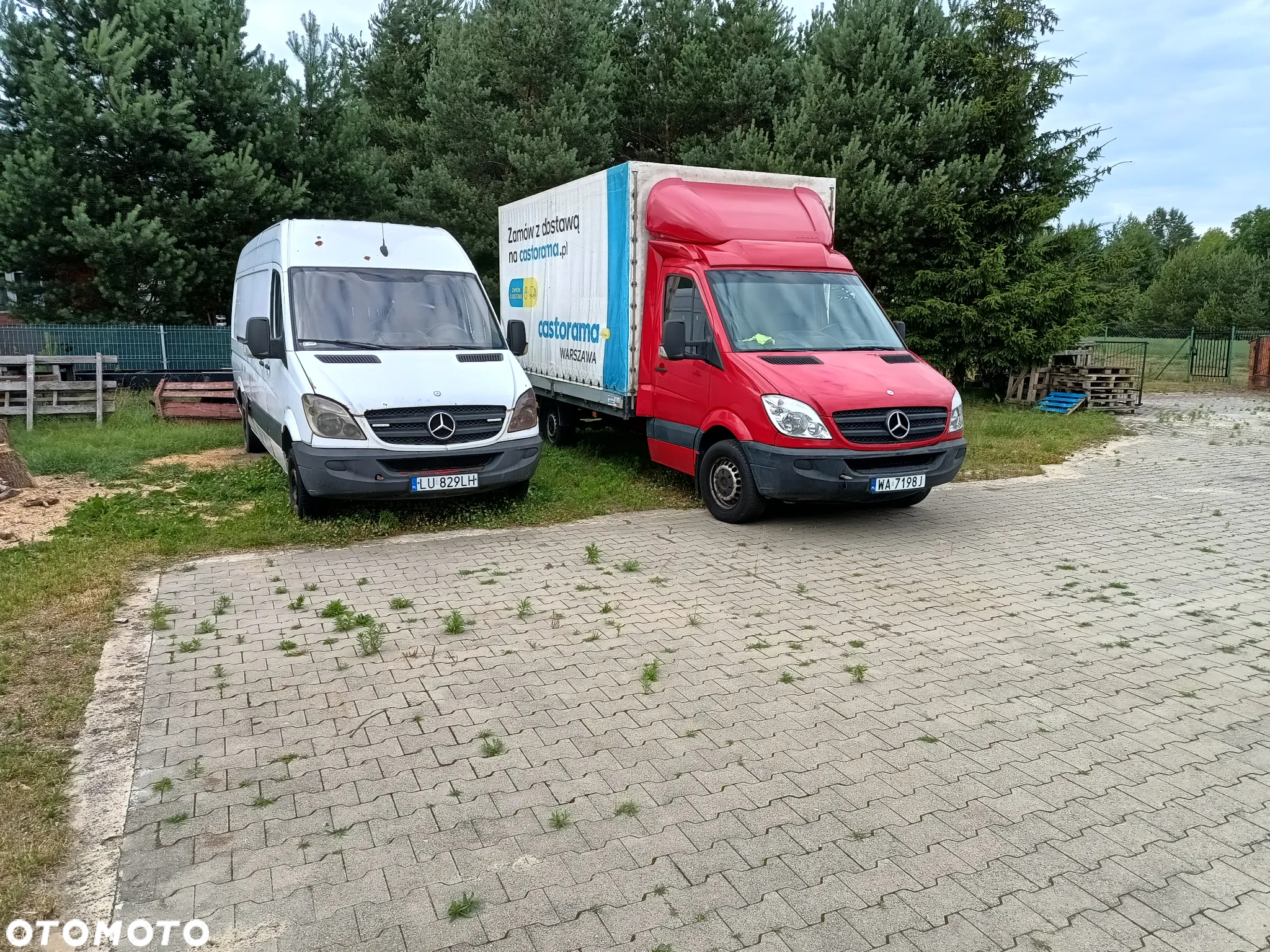 Mercedes-Benz Sprinter - 2