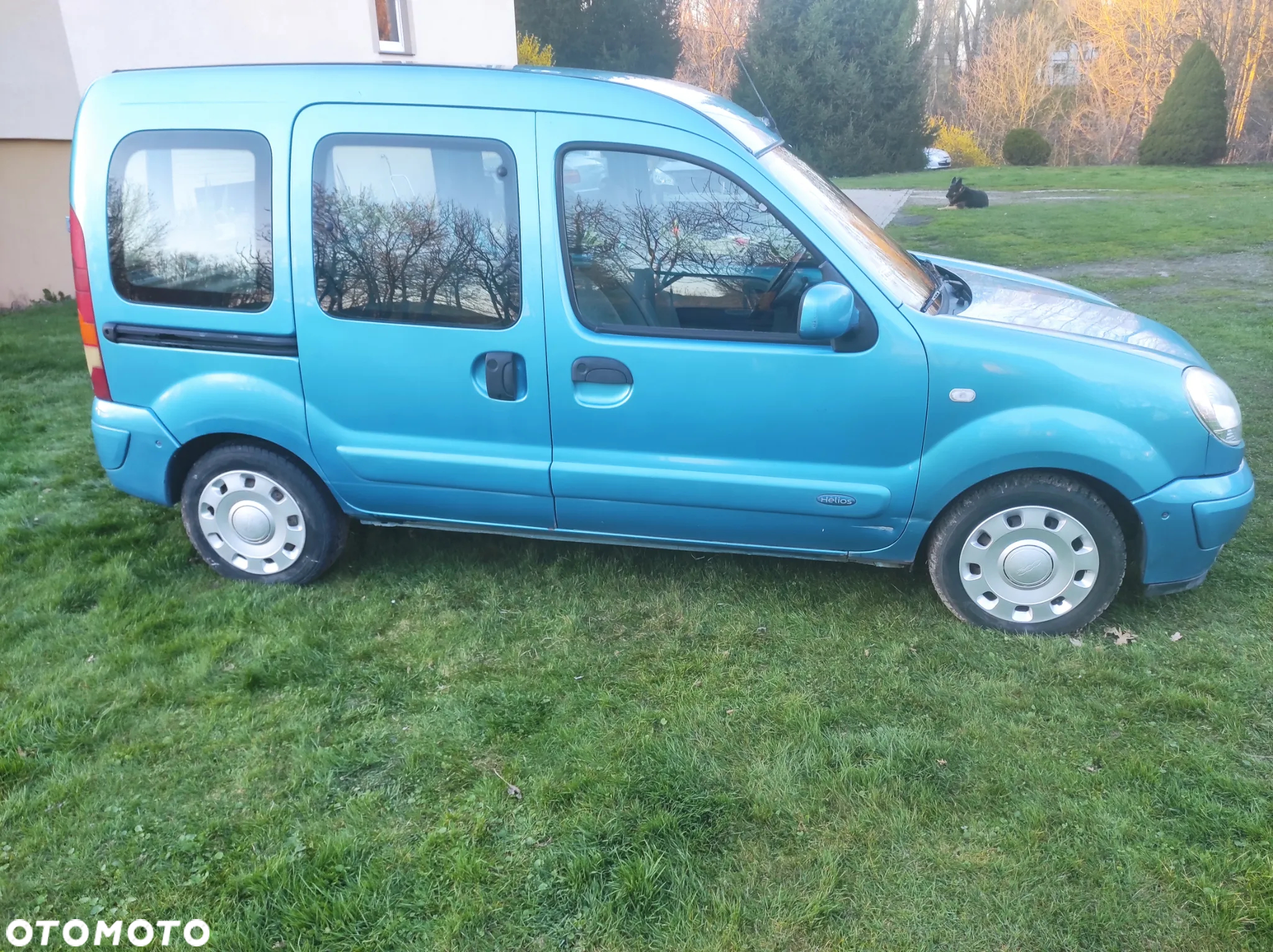 Renault Kangoo - 4