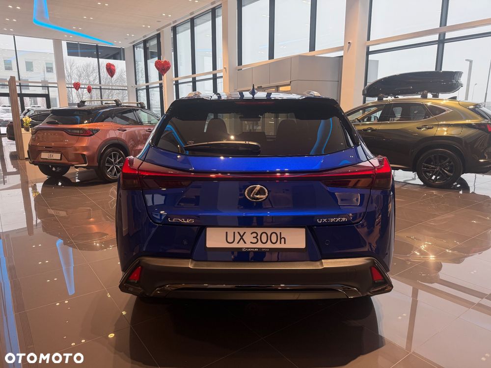 Lexus UX 300h F Sport Design - 9