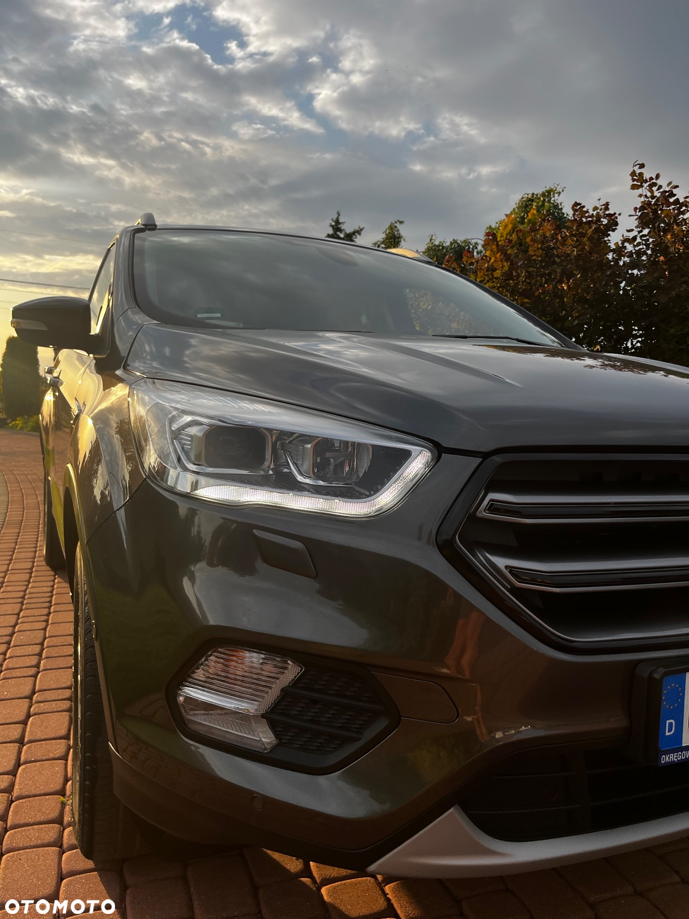 Ford Kuga 1.5 EcoBoost AWD Titanium ASS - 11