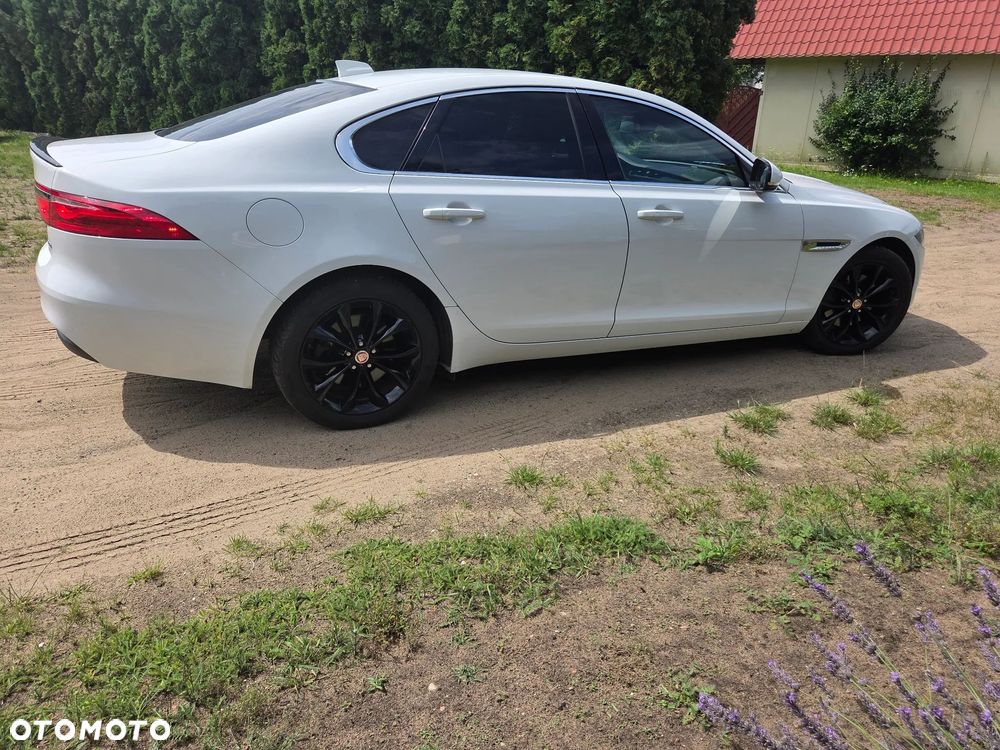Jaguar XF 2.0 i4D Prestige - 5