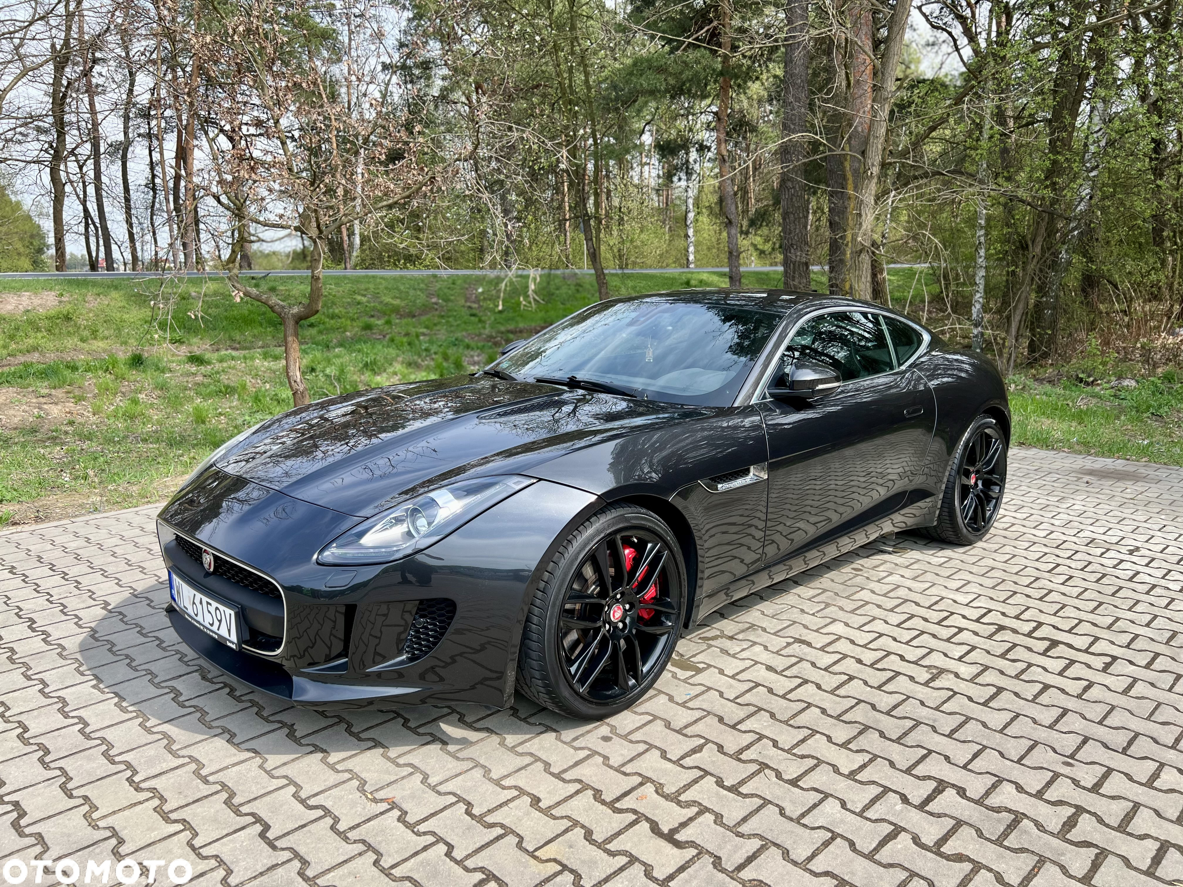 Jaguar F-Type 3.0 V6 S/C - 2