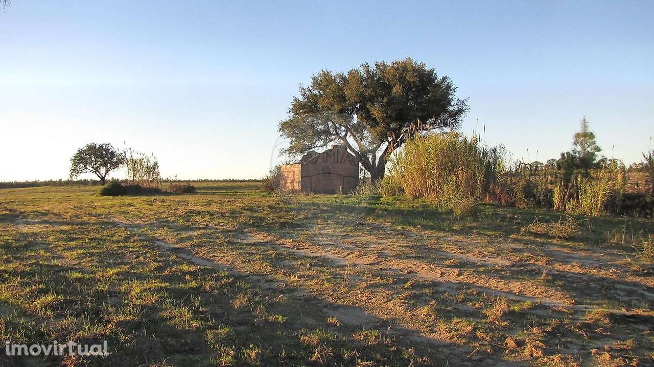 Terreno  para venda - Grande imagem: 3/49