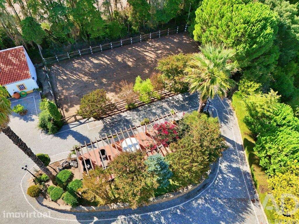 Quinta T5 em Carvalhal de 548 m2 - Grande imagem: 4/40