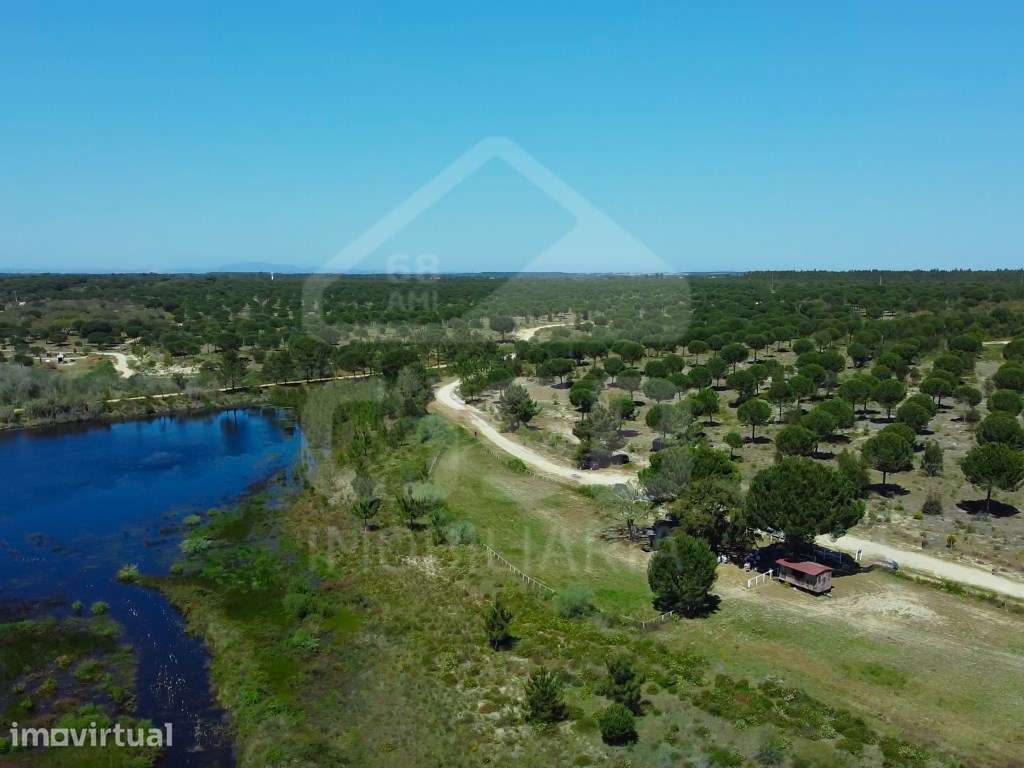 Terreno na Mata do Duque II, Santo Estêvão - Grande imagem: 2/6