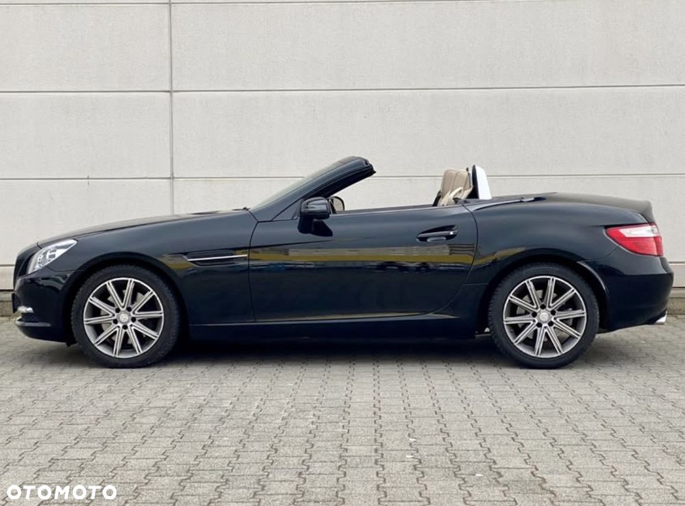 Mercedes-Benz SLK 250 CDI (BlueEFFICIENCY) 7G-TRONIC - 15