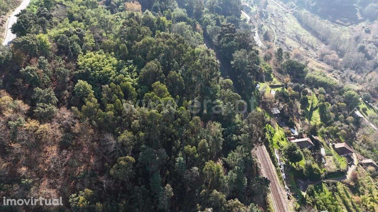Terreno / Baião, Baião (Santa Leocádia) e Mesquinhata - Grande imagem: 3/9