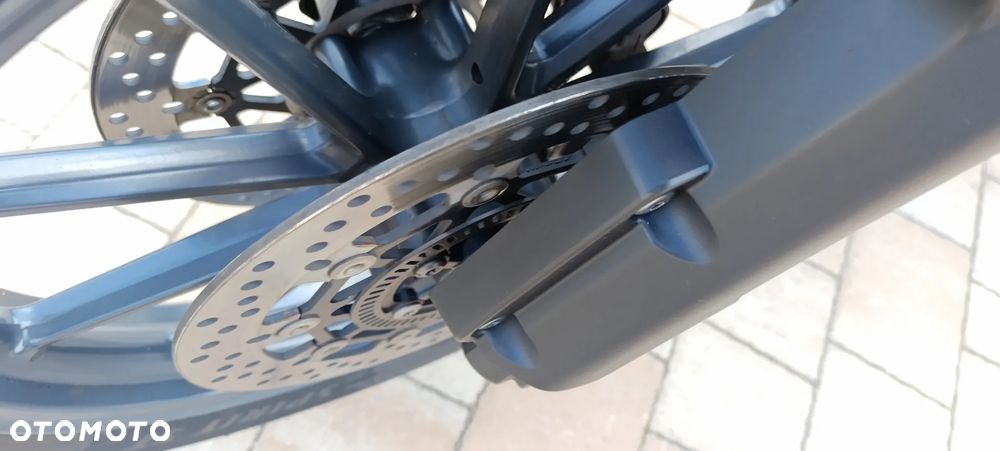 Triumph Tiger - 18