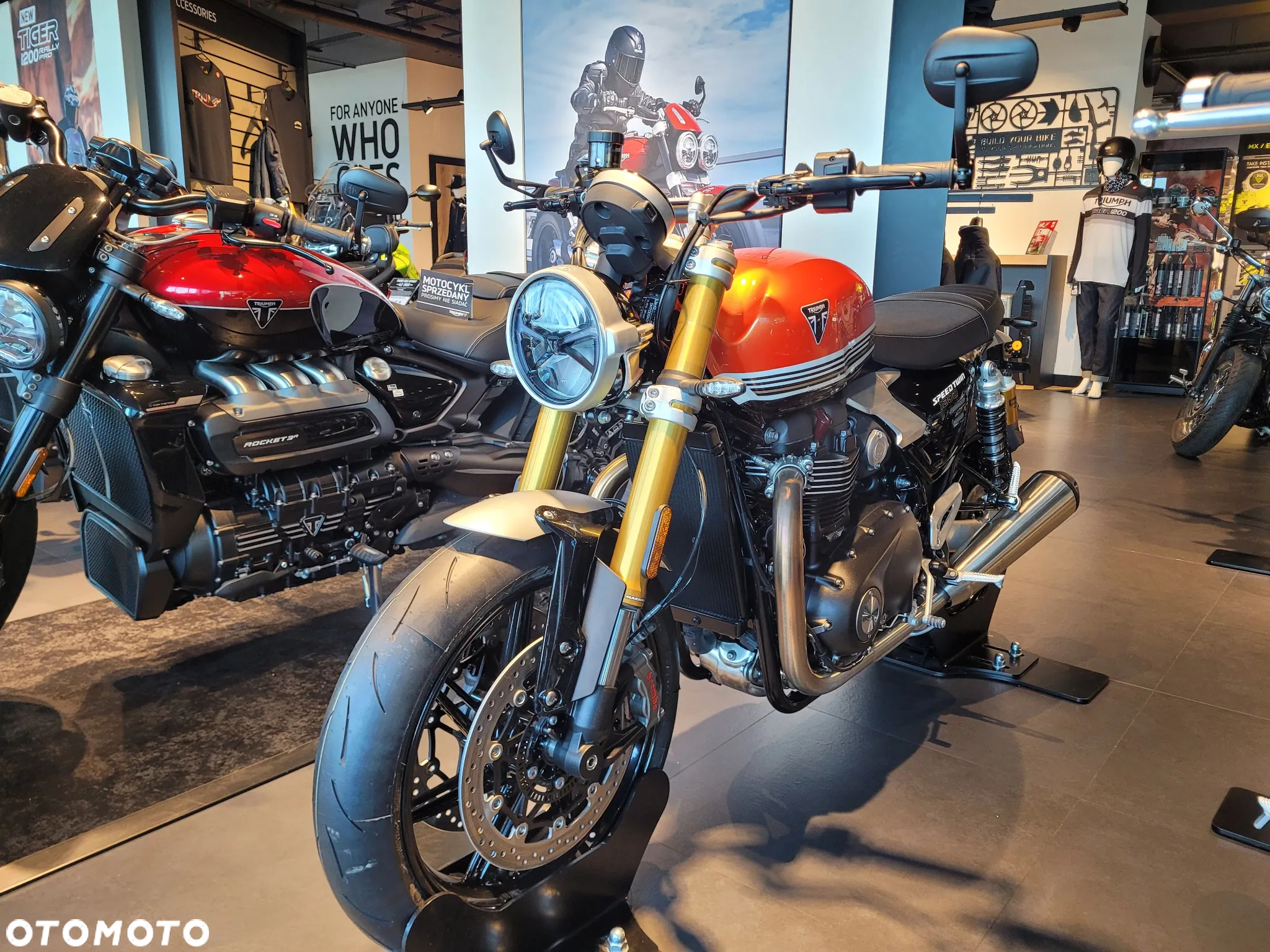 Triumph Speed Twin - 3