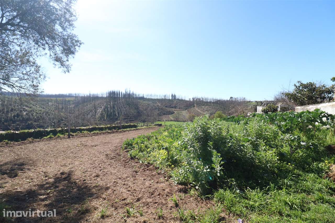 Terreno para Construção em Canelas, Estarreja - Grande imagem: 4/8