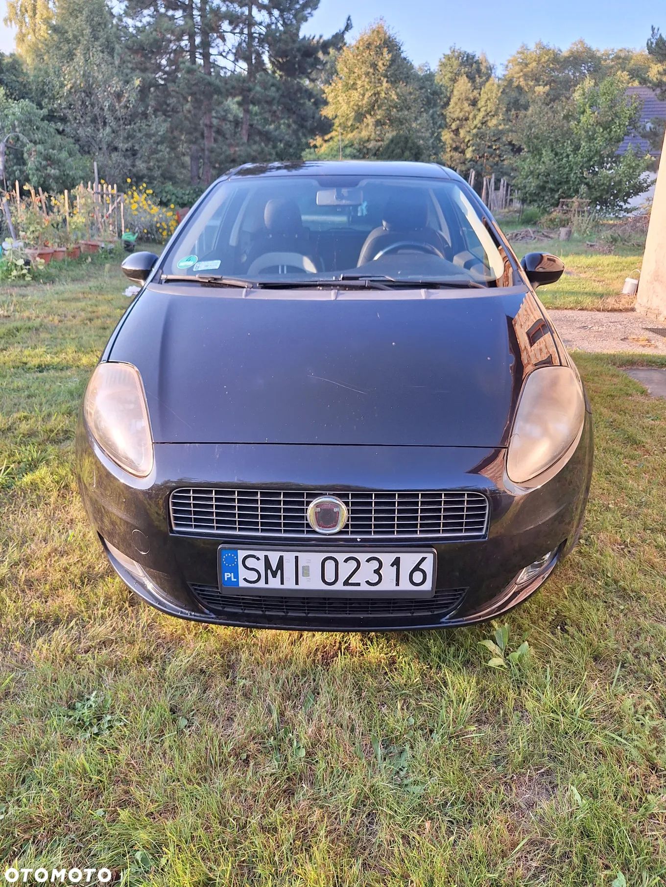 Fiat Punto - 1