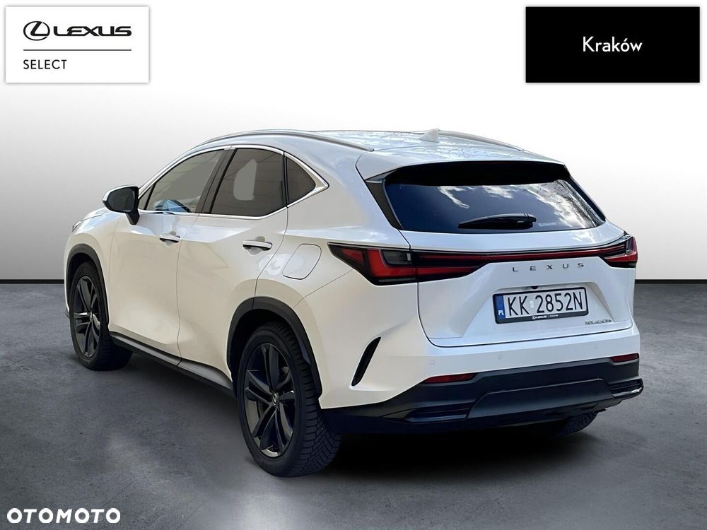 Lexus NX - 3