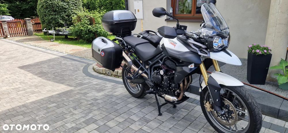 Triumph Tiger - 16