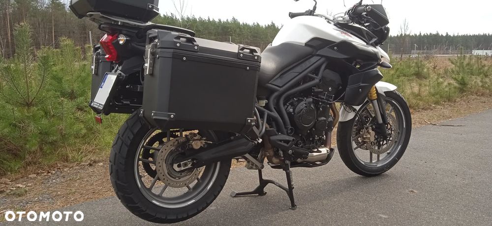 Triumph Tiger - 4
