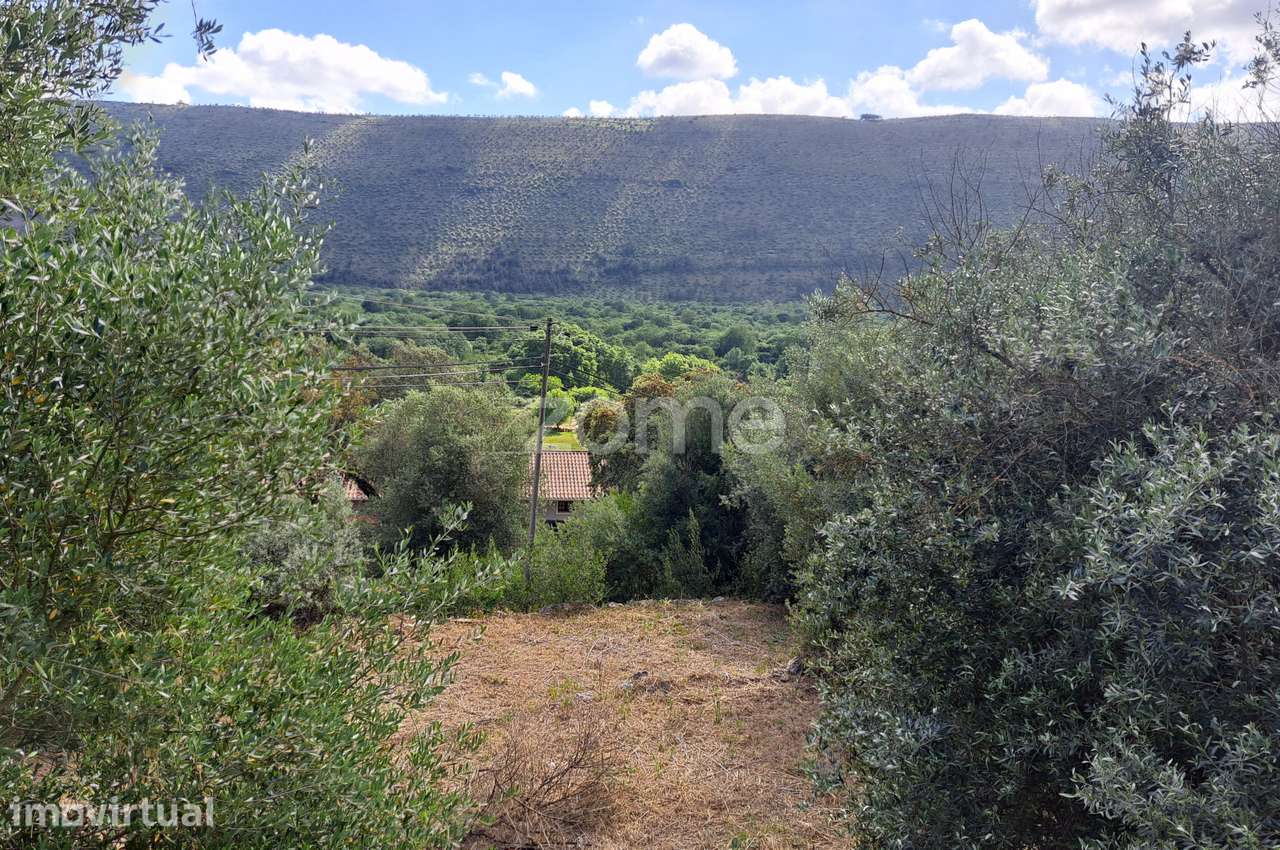 Terreno Urbanizável em Mira de Aire - Grande imagem: 5/30