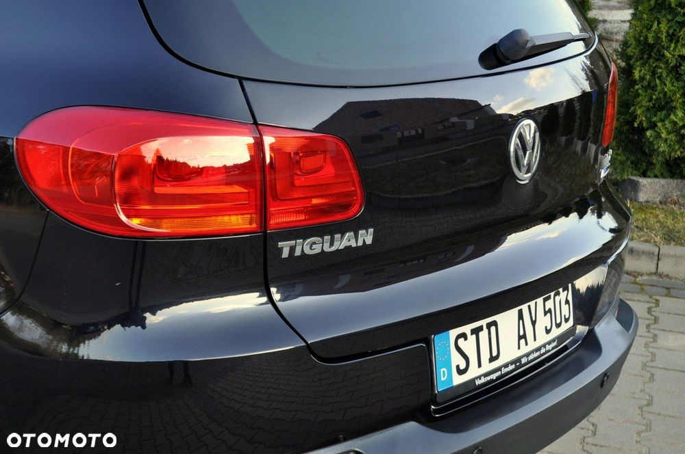Volkswagen Tiguan - 16