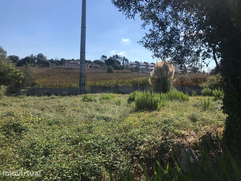 Terreno para construção em altura - Angeja - centro - Grande imagem: 3/7