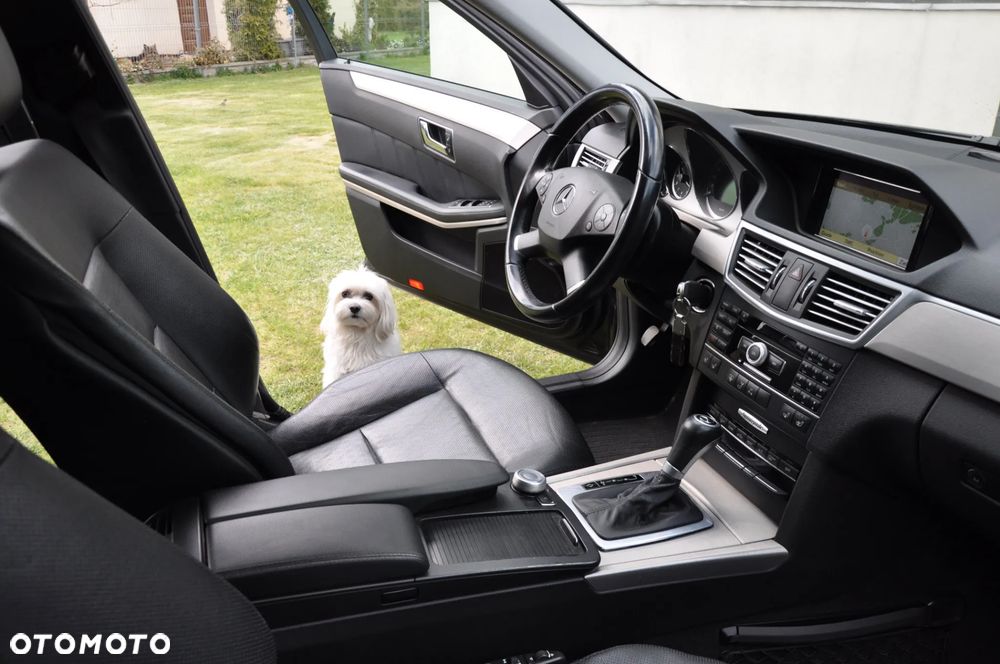 Mercedes-Benz Klasa E 250 CDI DPF BlueEFFICIENCY Automatik Avantgarde - 19