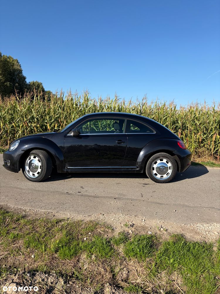 Volkswagen Beetle - 5