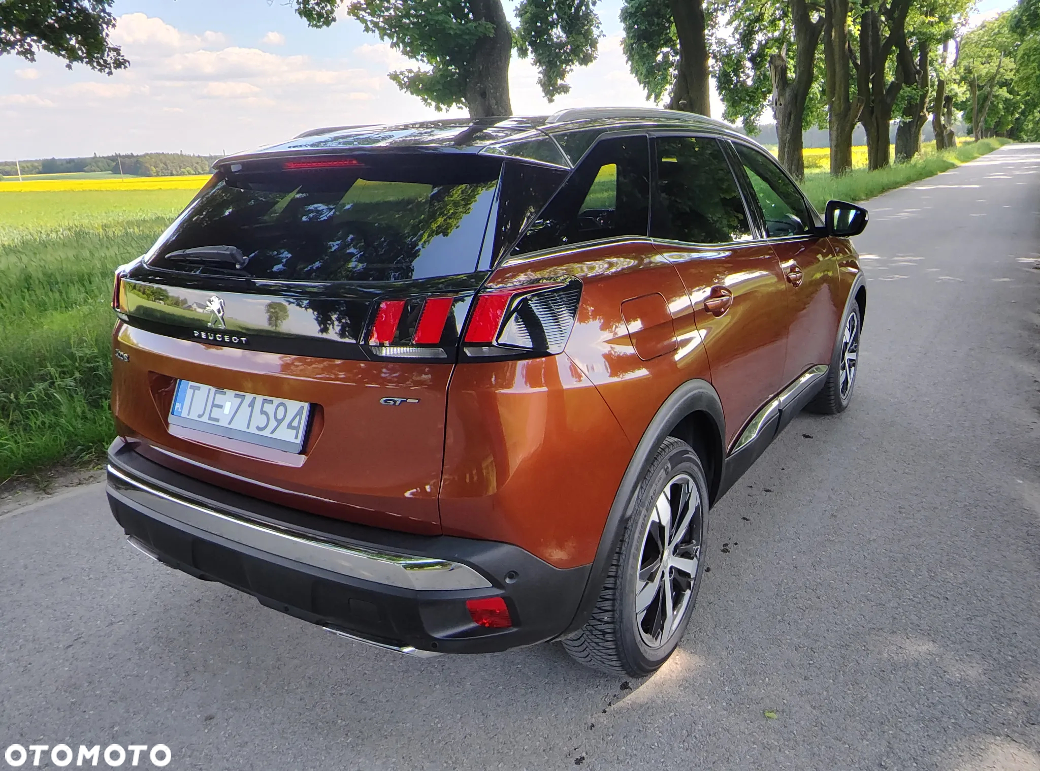 Peugeot 3008 2.0 BlueHDi GT S&S EAT8 - 12