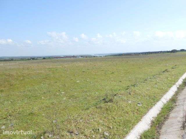 Terreno - vista espelho de agua Alqueva - Grande imagem: 4/8
