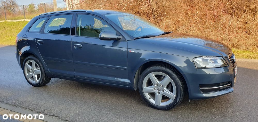 Audi A3 Sportback 1.6 Attraction - 13