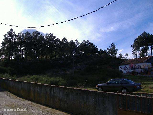 Chaves Casas dos Montes - Grande imagem: 5/7