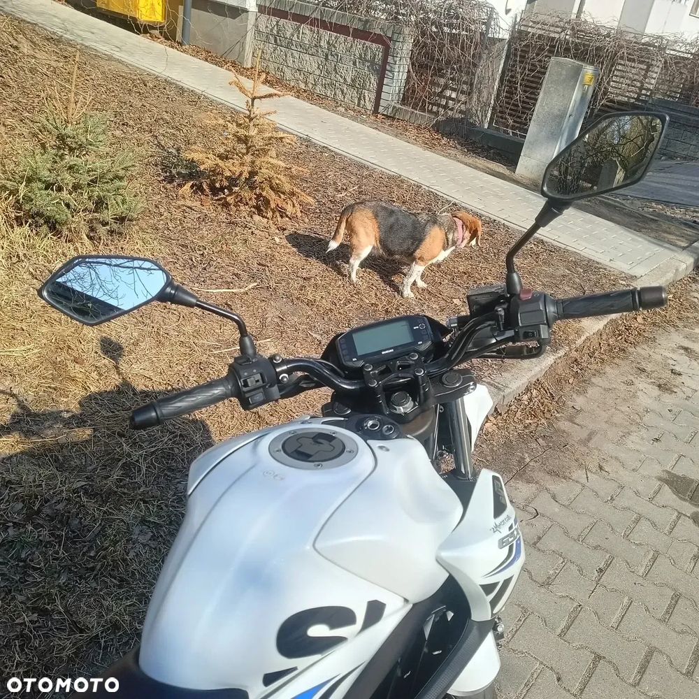 Suzuki GSX - 13