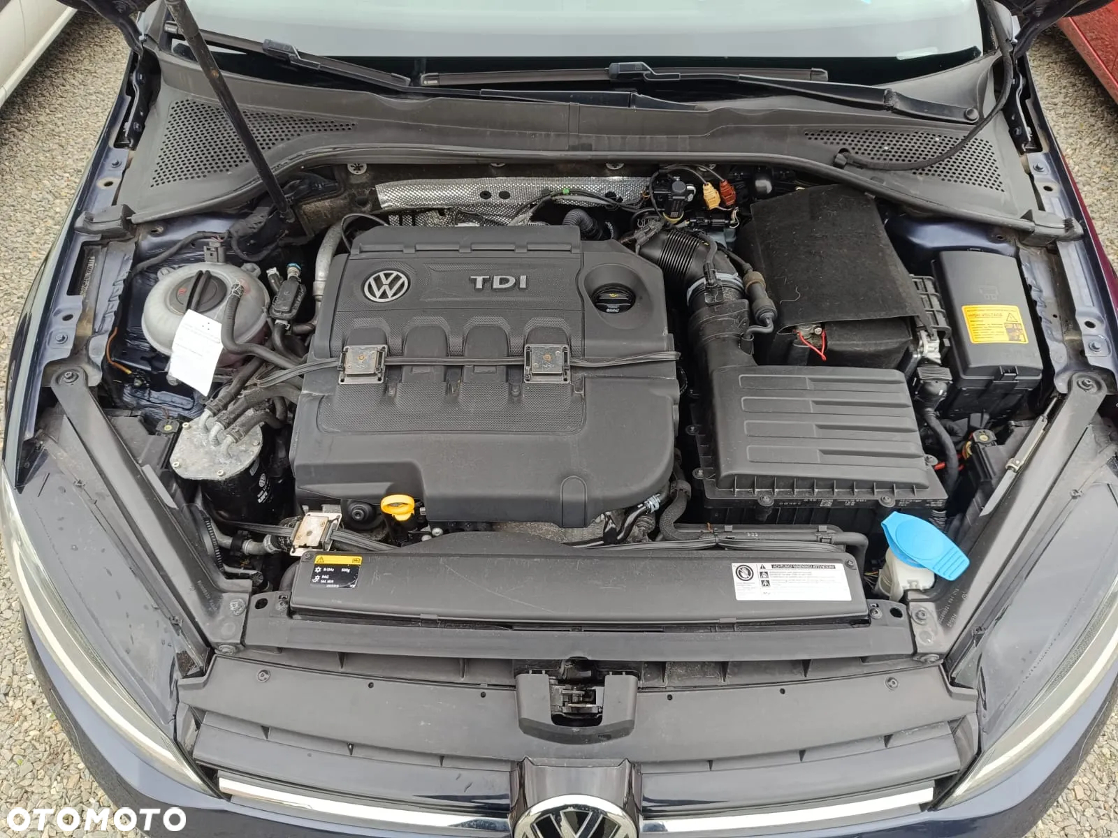 Volkswagen Golf VII 2.0 TDI BMT 4Mot Highline - 30