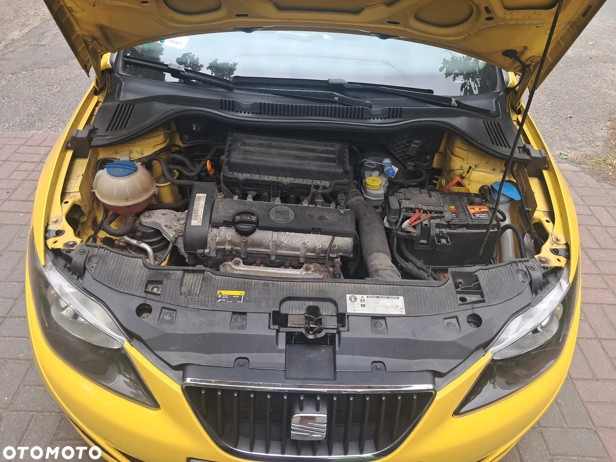 Seat Ibiza 1.4 16V Reference - 18