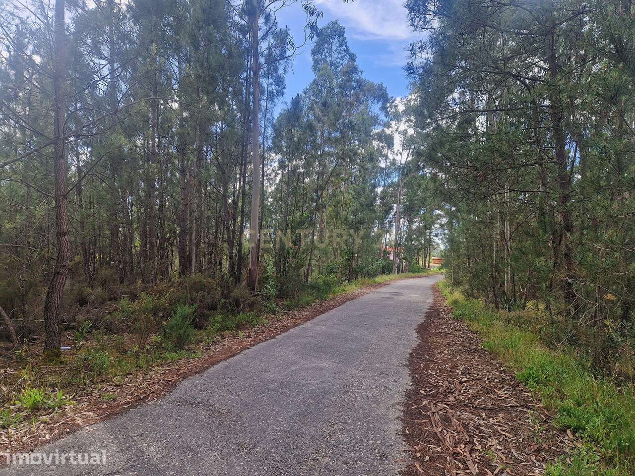 Terreno em Vagos com 770m² - Oportunidade Única! - Grande imagem: 2/5