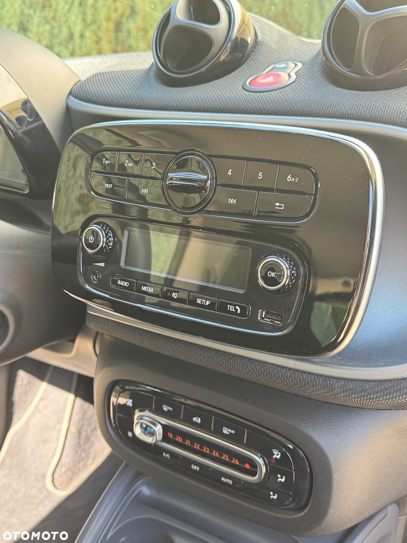 Smart Fortwo - 15
